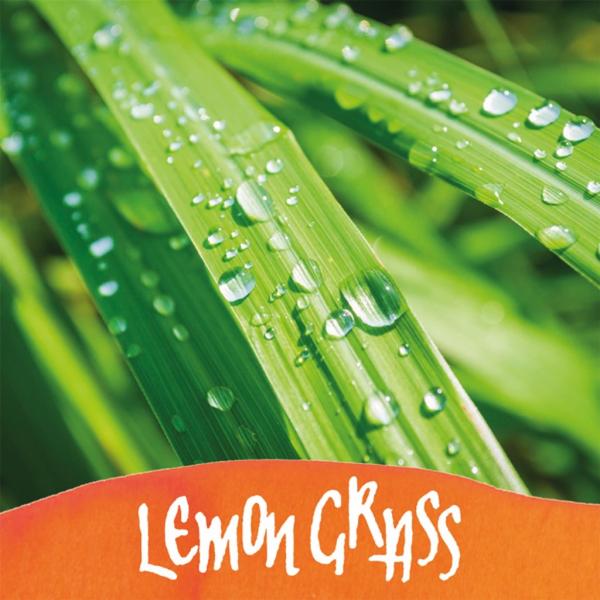 Online Tintenglas 15ml Tinte der Sinne lemon grass